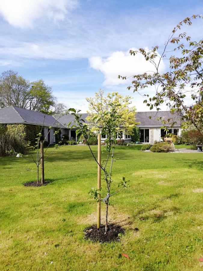 Applecroft House Bed & Breakfast Killarney Luaran gambar