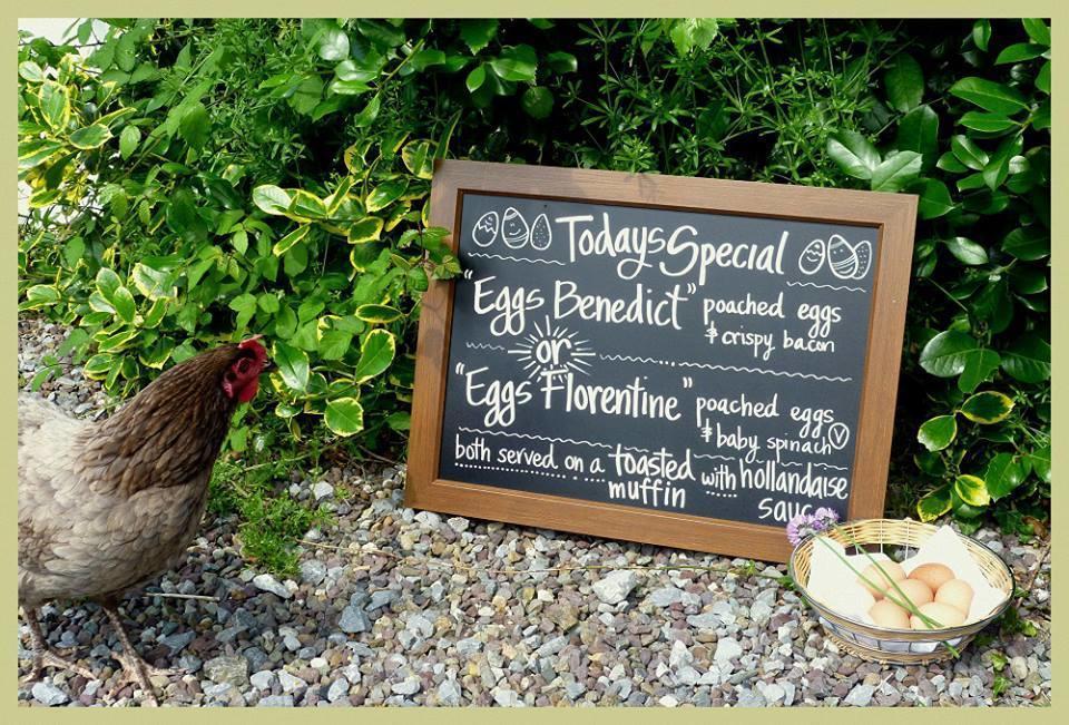 Applecroft House Bed & Breakfast Killarney Luaran gambar